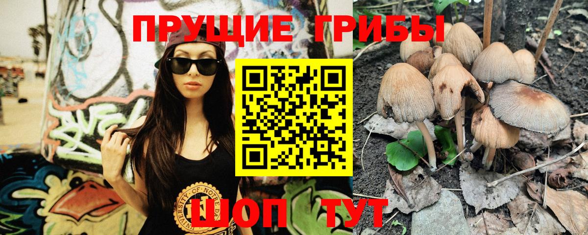 Дивногорск  Галлюциногенные грибы Magic Shrooms  Вход с VPN 